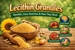 Lecithin granules